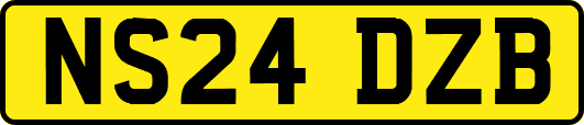 NS24DZB