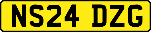 NS24DZG