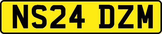 NS24DZM