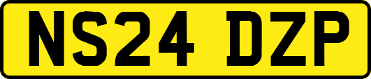 NS24DZP