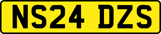 NS24DZS
