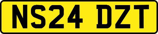 NS24DZT