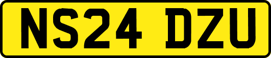 NS24DZU
