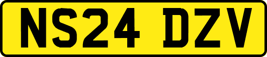 NS24DZV