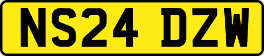 NS24DZW