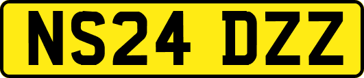 NS24DZZ