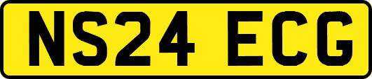 NS24ECG