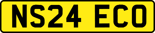 NS24ECO