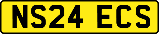 NS24ECS
