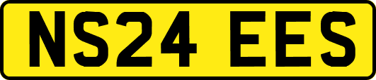 NS24EES