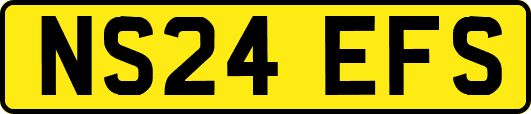 NS24EFS
