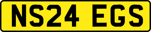 NS24EGS