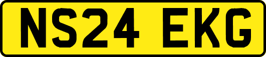 NS24EKG