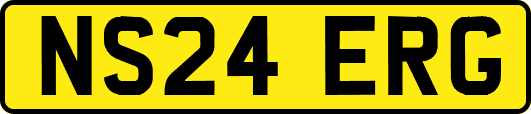 NS24ERG