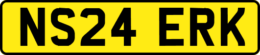 NS24ERK