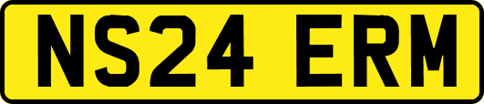 NS24ERM