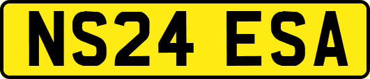 NS24ESA