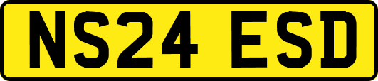 NS24ESD