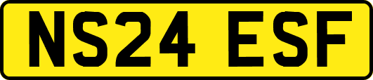 NS24ESF