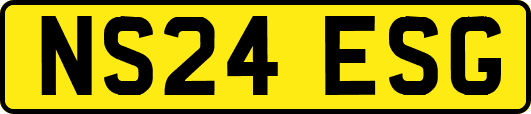 NS24ESG