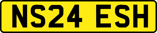 NS24ESH