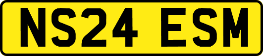 NS24ESM