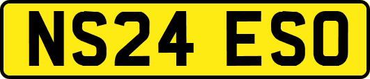 NS24ESO
