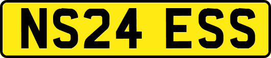 NS24ESS