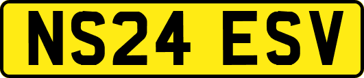 NS24ESV