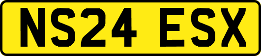 NS24ESX