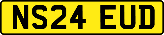 NS24EUD