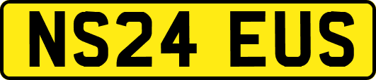 NS24EUS