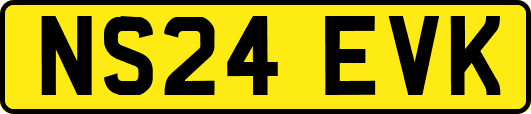NS24EVK