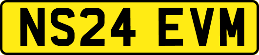 NS24EVM