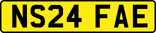 NS24FAE
