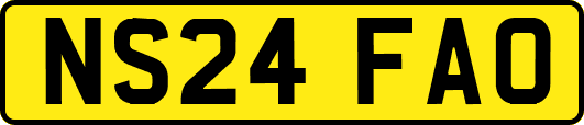 NS24FAO