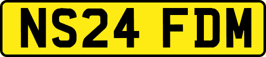 NS24FDM