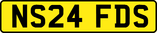 NS24FDS