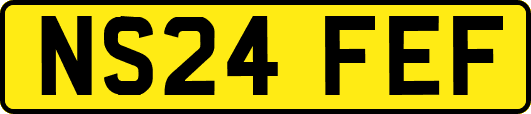 NS24FEF