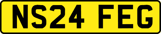 NS24FEG