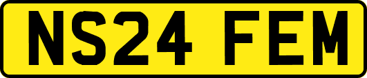 NS24FEM