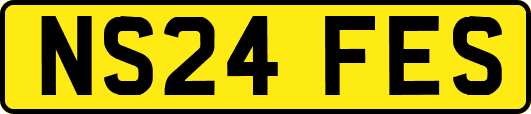 NS24FES