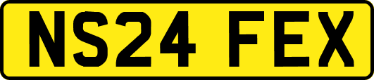NS24FEX