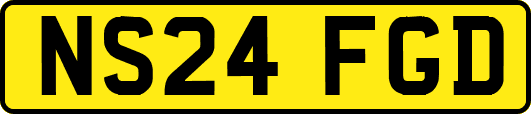 NS24FGD