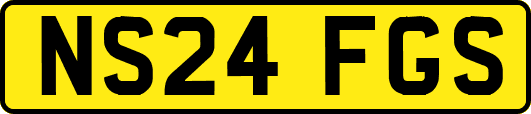 NS24FGS