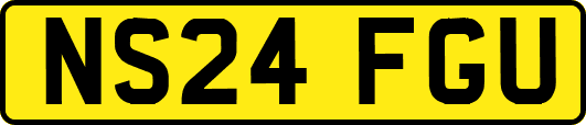 NS24FGU