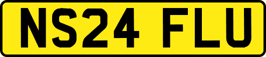 NS24FLU