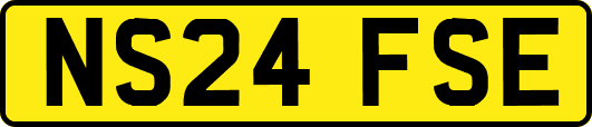 NS24FSE