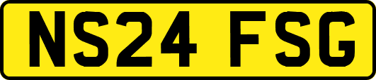 NS24FSG
