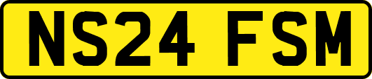 NS24FSM